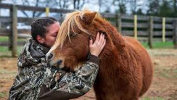 woman kissing her horse